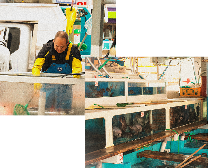 Poissons vivants et logistique a Millak