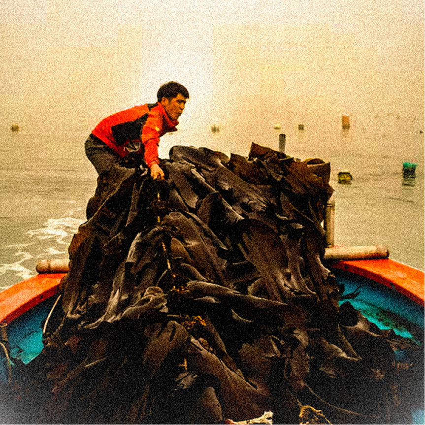 Pêche traditionnelle en Corée du Sud