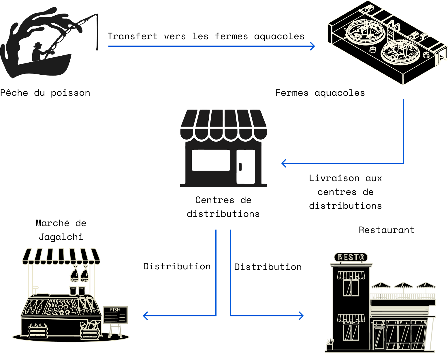 Schéma du circuit de distribution des produits de la mer